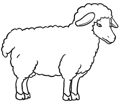 desenhe um carneiro com um lápis